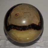 Septarian Sphere - Highland Rock