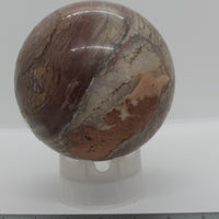 4.75" dia. Petrified Wood Sphere