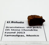 Meteorite, El Boludo (Met06)